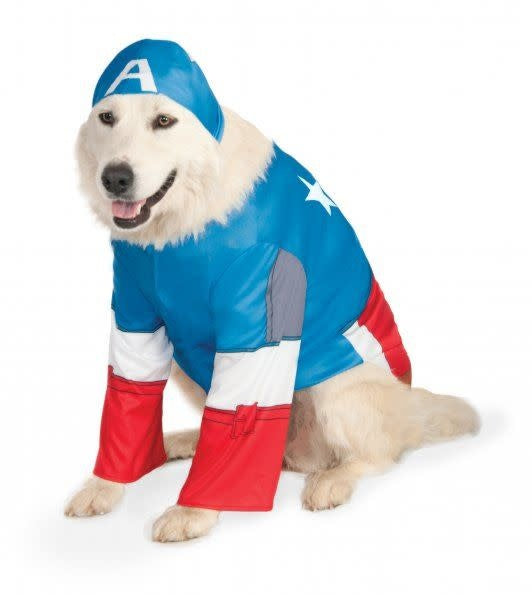 Big Dog: Captain America Pet Costume