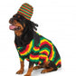 Rasta Dog: Big Dog Costume
