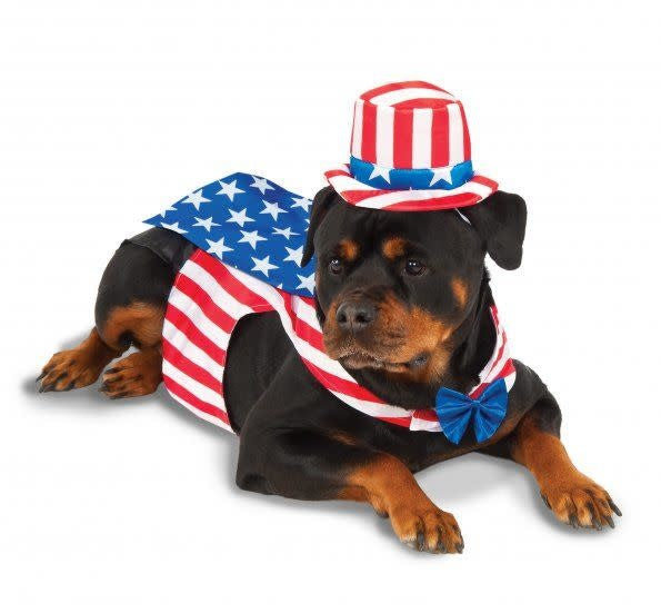 Big Dog: Uncle Sam