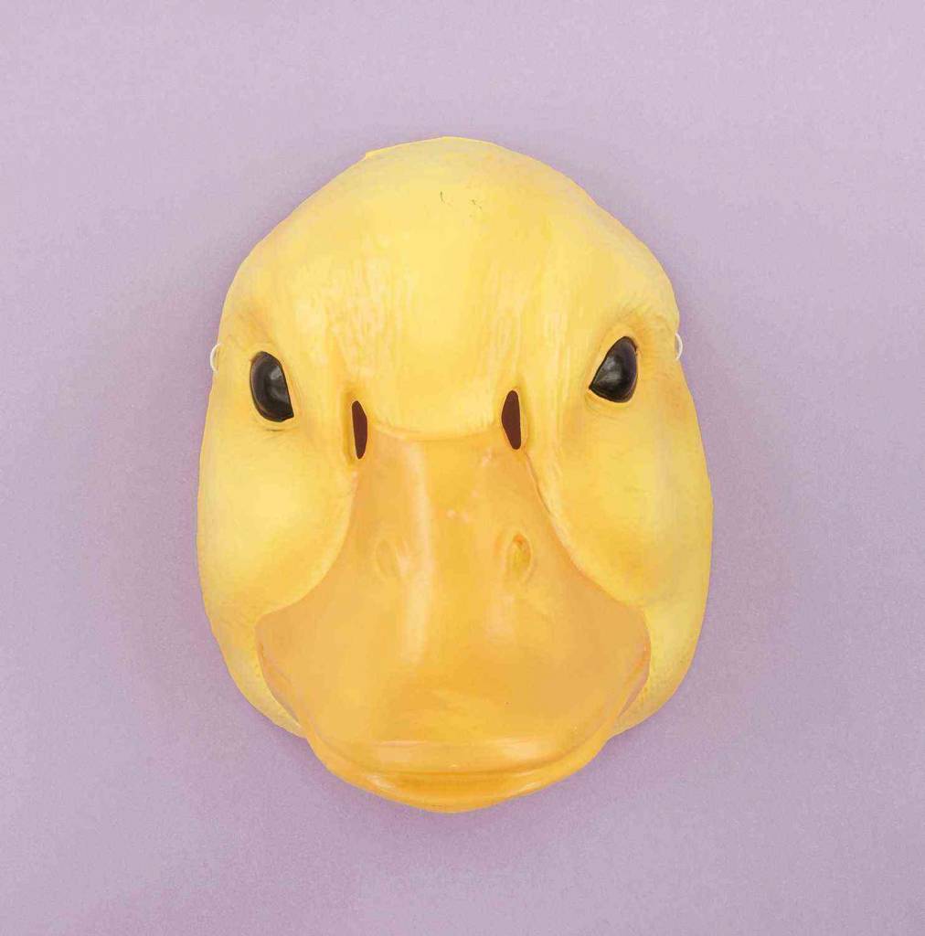 Plastic Animal Mask: Duck