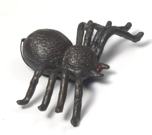6" Black Plastic Spider