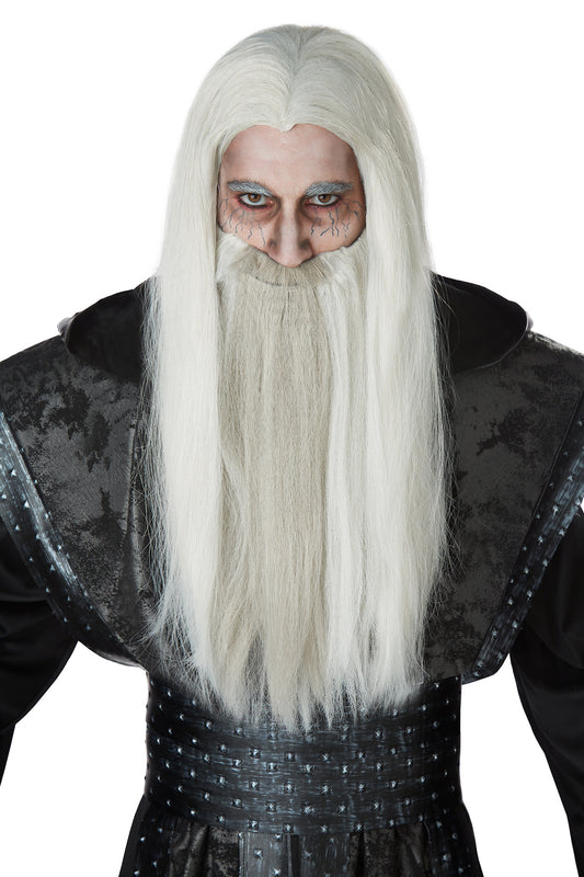 Dark Wizard Wig/Beard: Gray
