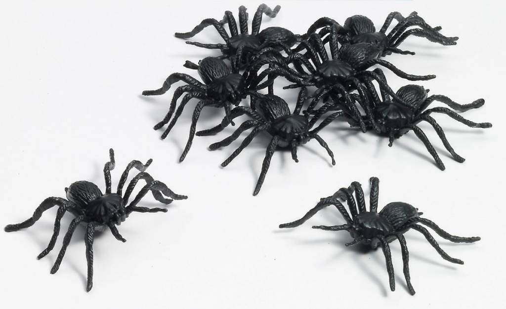 6" Spiders (10pk)