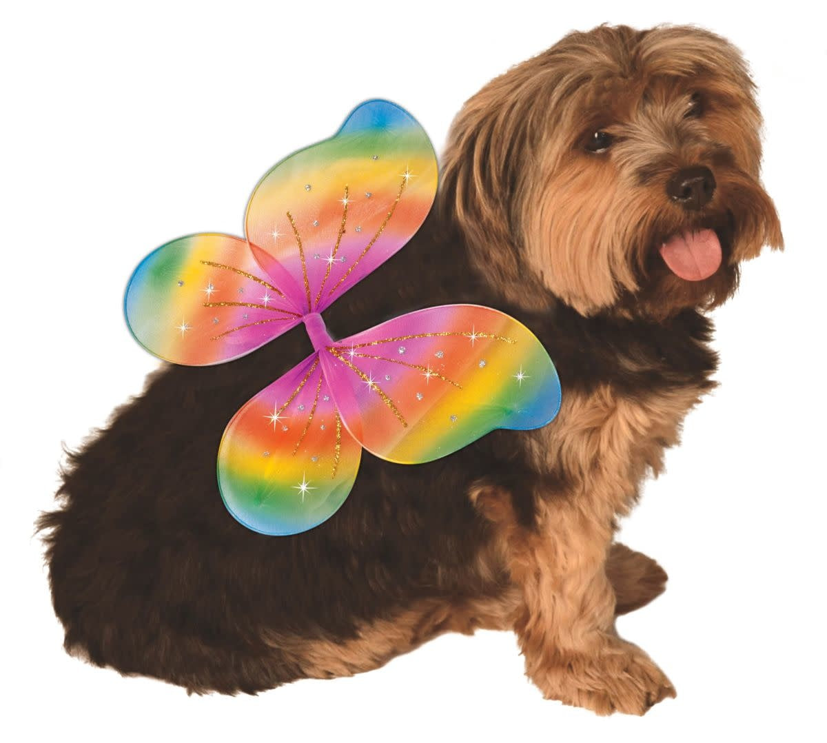 Fairy Wings (Rainbow): Pet Costume