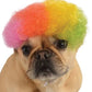 Afro Wig (Rainbow): Pet Costume