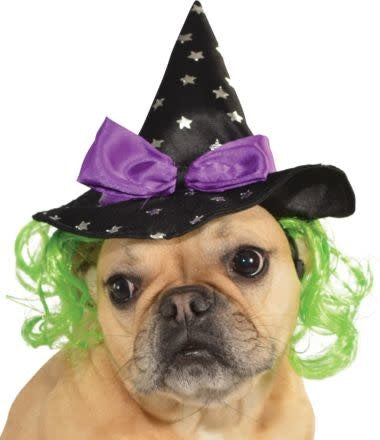 Witch Pet Hat w/ Hair