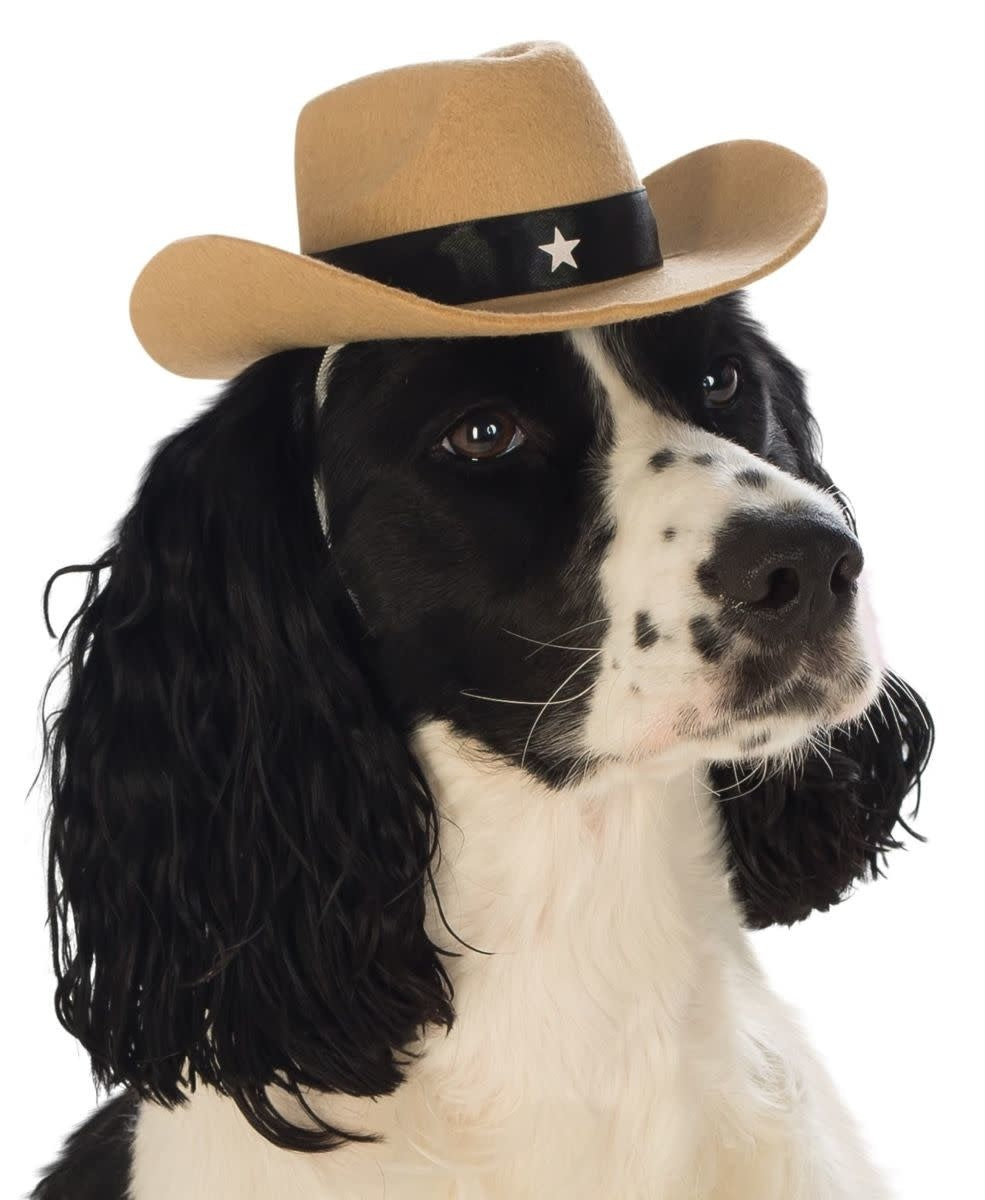 Pet Cowboy Hat (Brown)