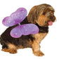 Fairy Wings (Purple): Pet Costume