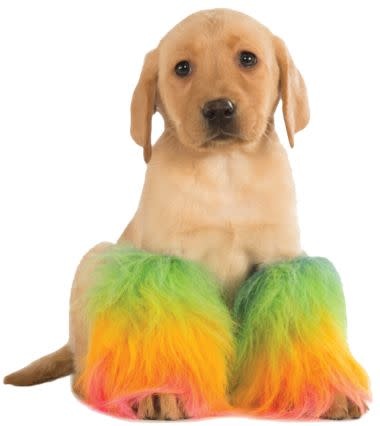 Rainbow Pet Fluffies Pet Costume