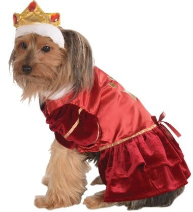 Kanine Queen: Pet Costume