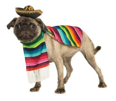 Mexican Serape: Pet Costume