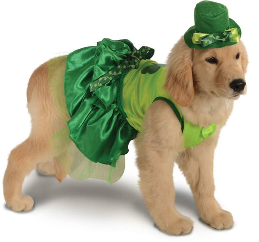 A dog wearing a St. Patrick's Day costume.