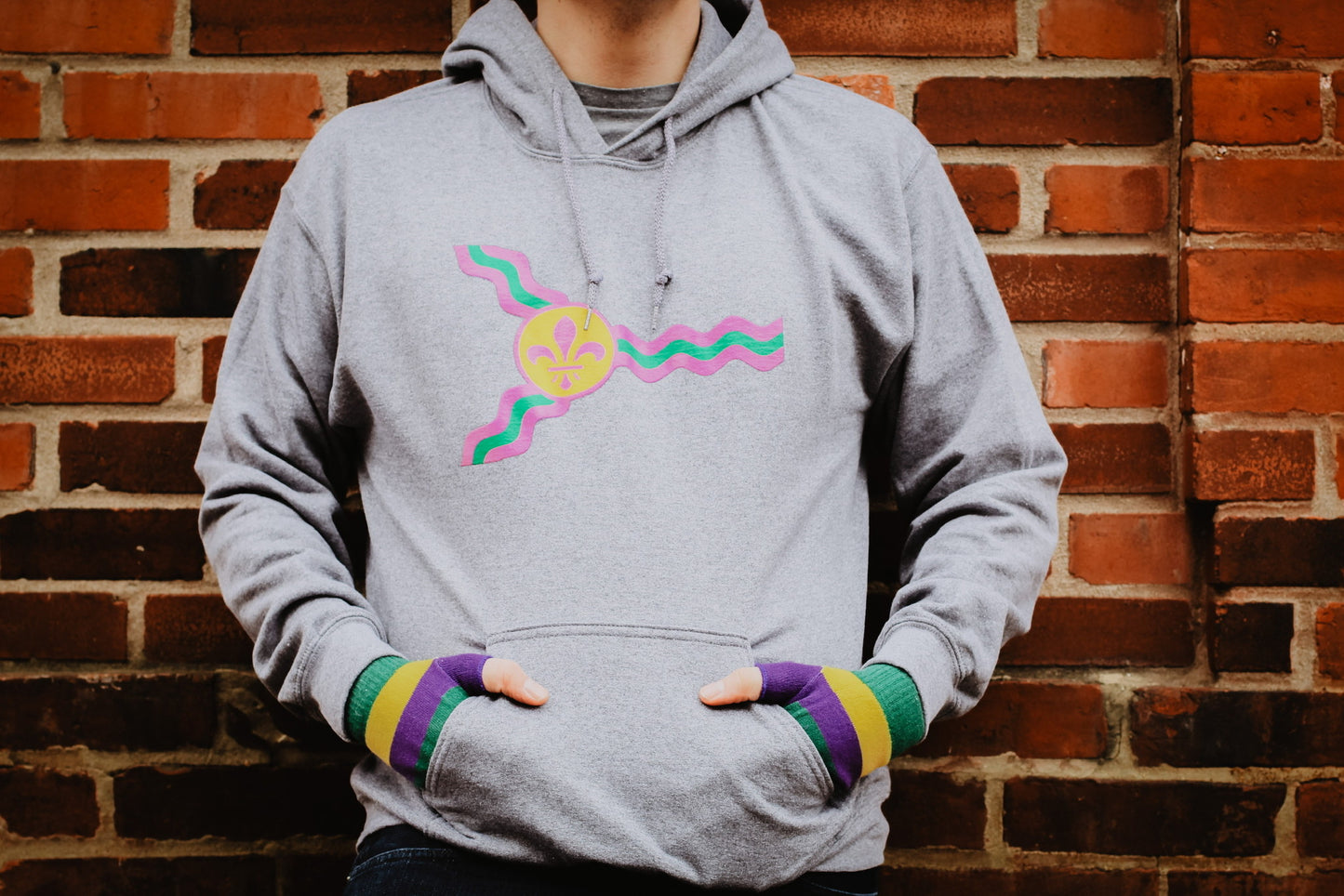 St. Louis Mardi Gras Flag Hoodie