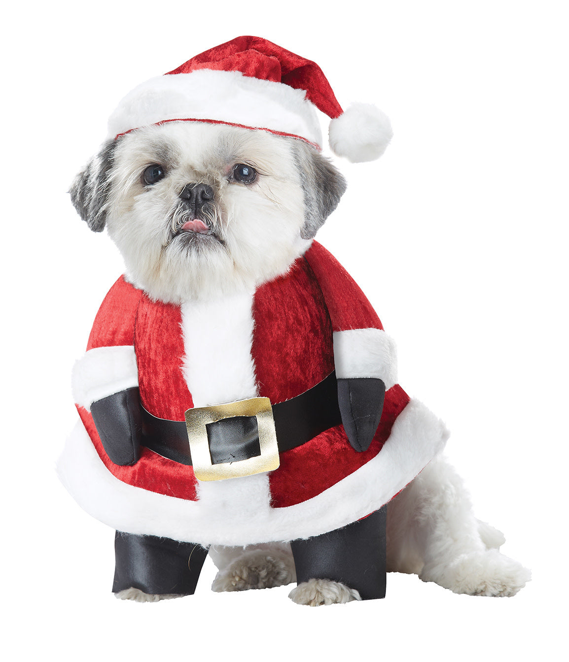 Santa Paws: Pet Costume