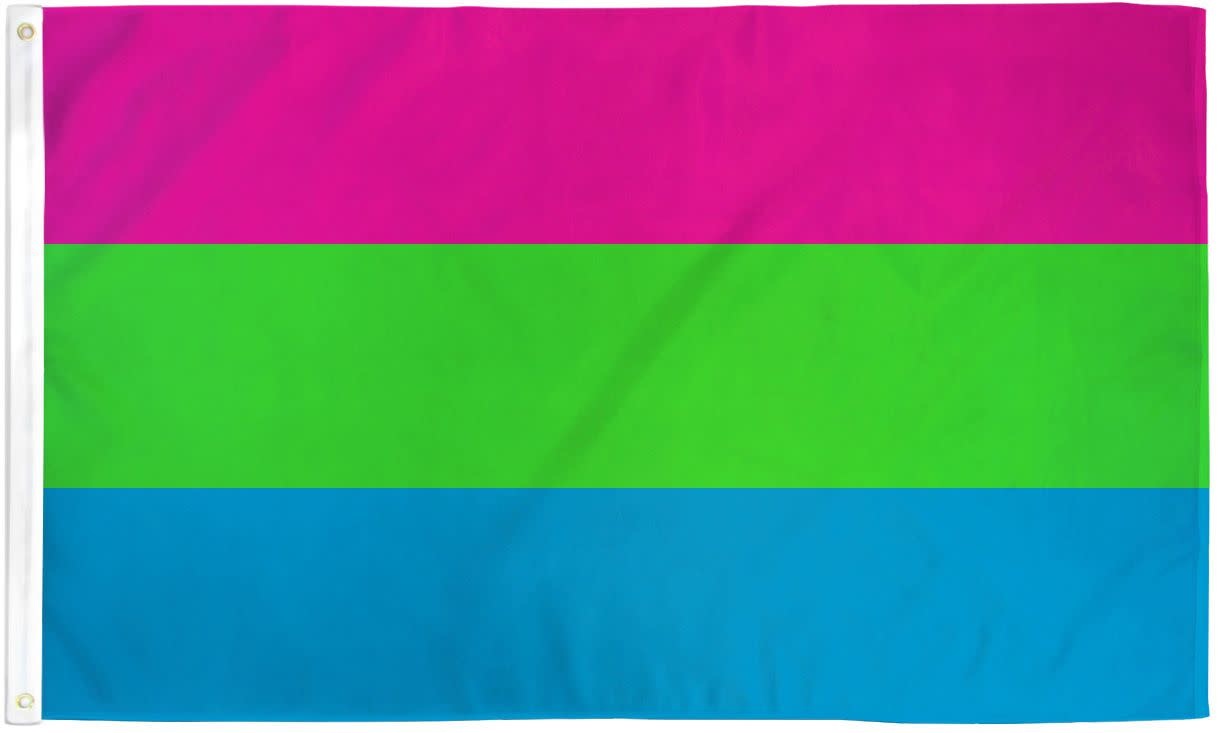 Polysexual Pride Flag (3'x5') – Johnnie Brocks