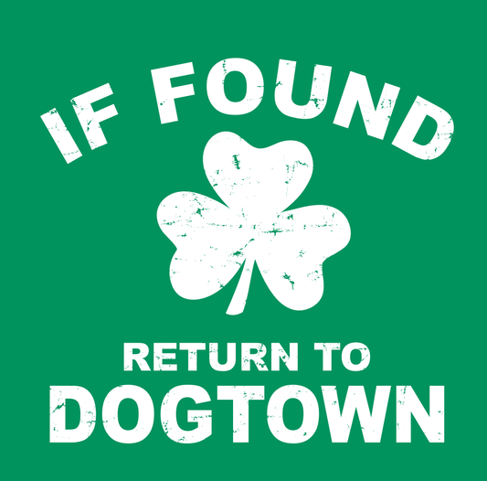 Youth T-Shirt: Return to Dogtown