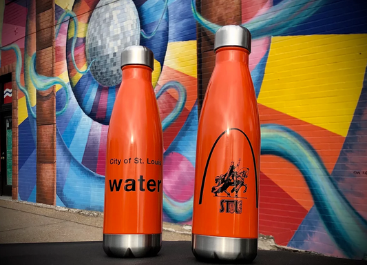 STL City Water Bottle